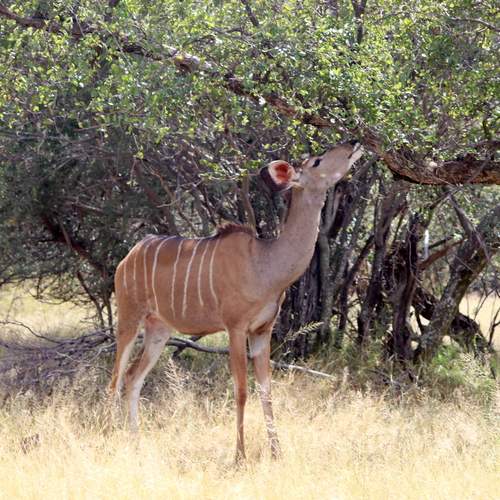 Photo #13513285