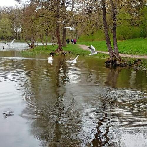 Photo #13513337