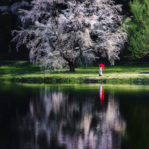 Photo #13513372