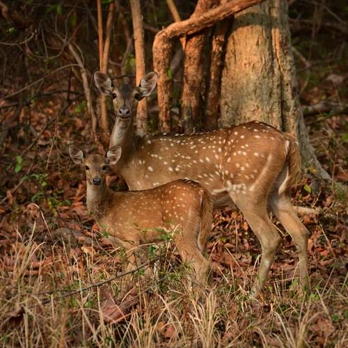 Photo #13513514