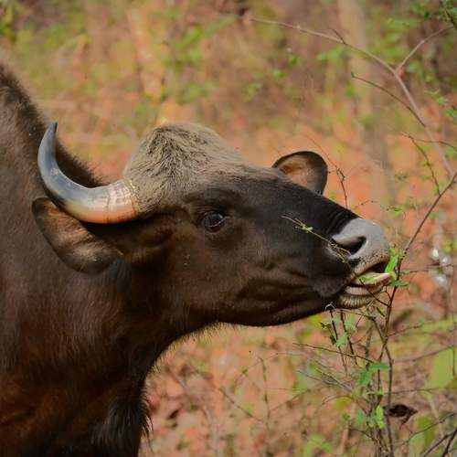 Photo #13513518