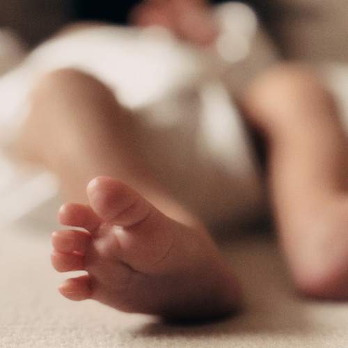 Photo #13513524