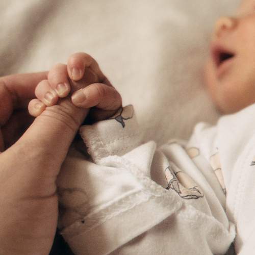 Photo #13513525