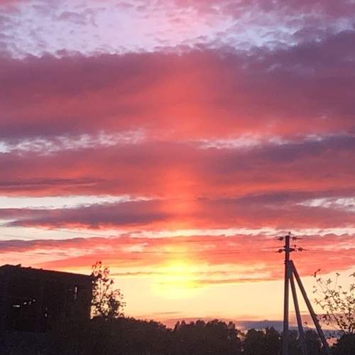 Photo #13513626