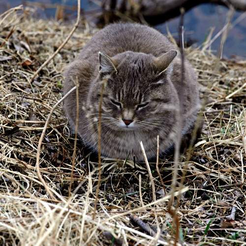 Photo #13513822