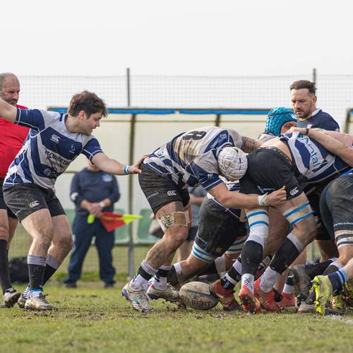 Photo #13514029