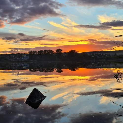 Photo #13514055