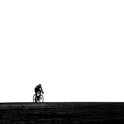 Follow the path