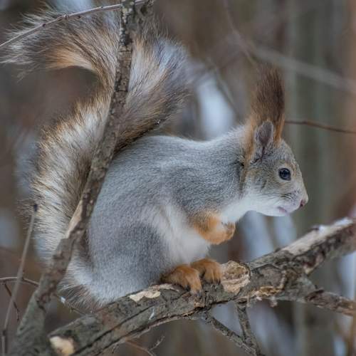 Photo #13514643