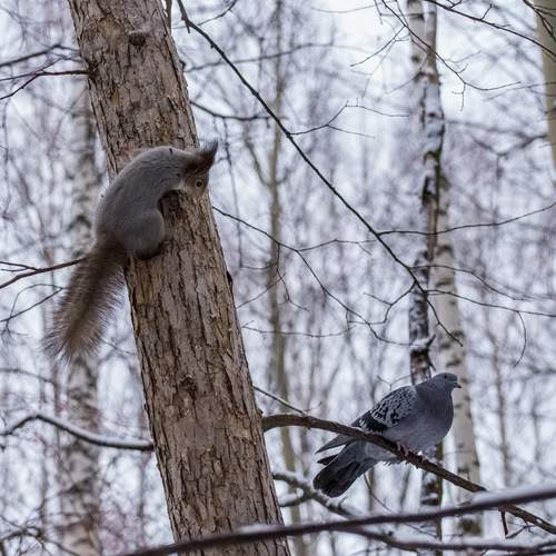 Photo #13514645