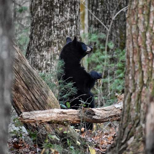 Photo #13514650