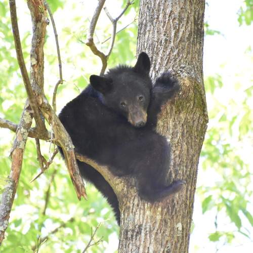 Photo #13514655