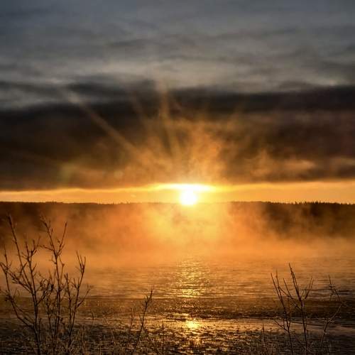 Photo #13514801