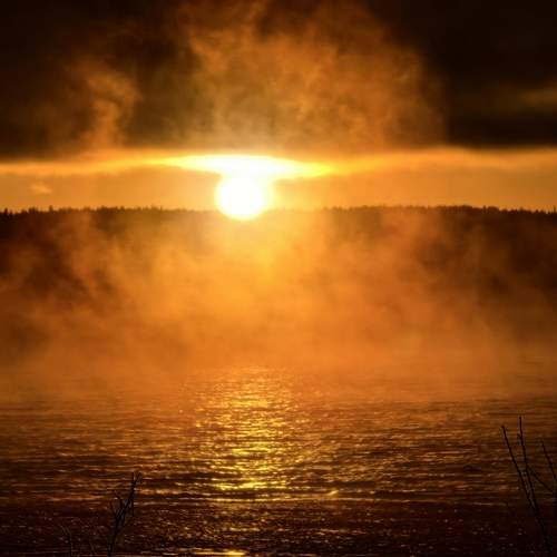 Photo #13514805