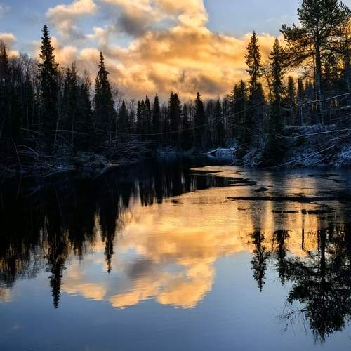 Photo #13514808
