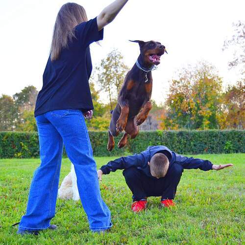 Photo #13514924