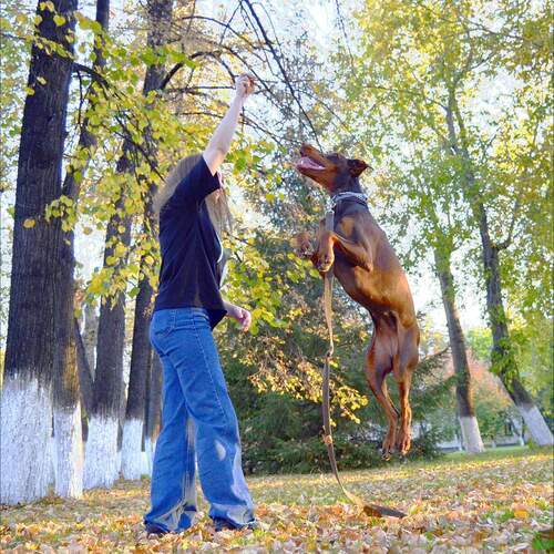 Photo #13514925