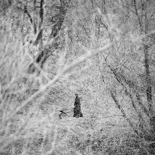 Photo #13515287