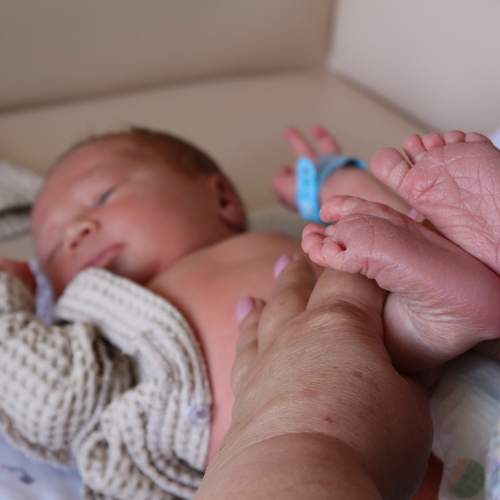 Photo #13515511