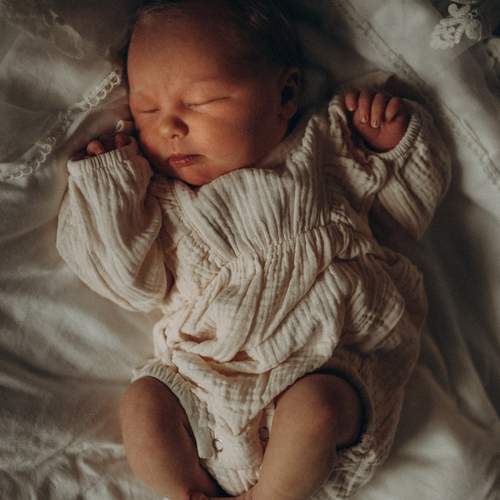 Photo #13515534