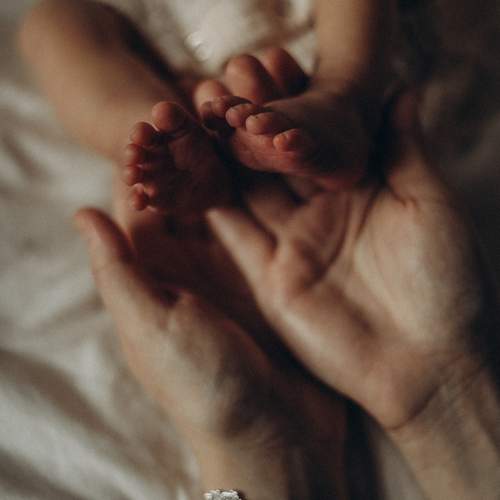Photo #13515540