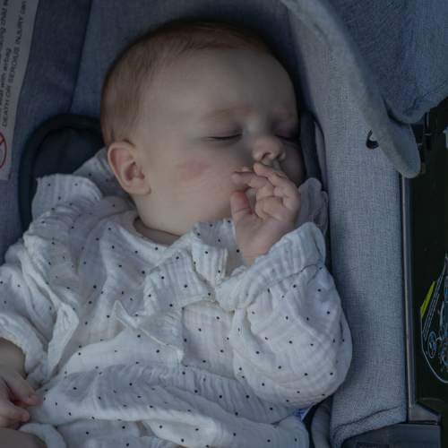Photo #13515557