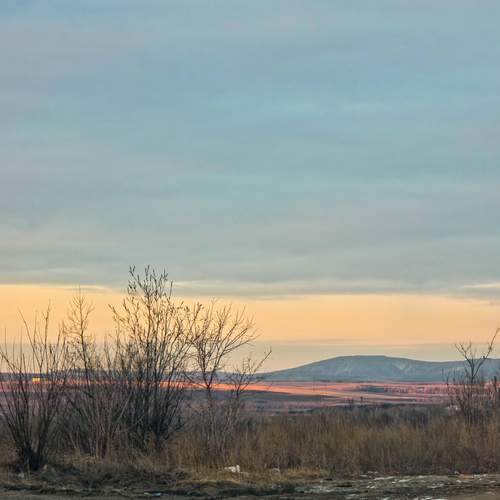 Photo #13515809