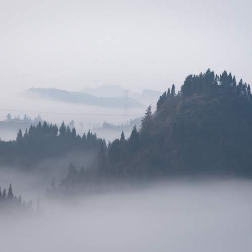 Photo #13515827