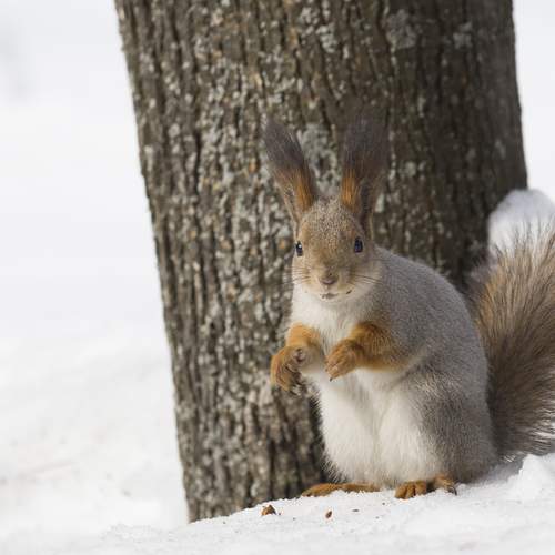 Photo #13515932