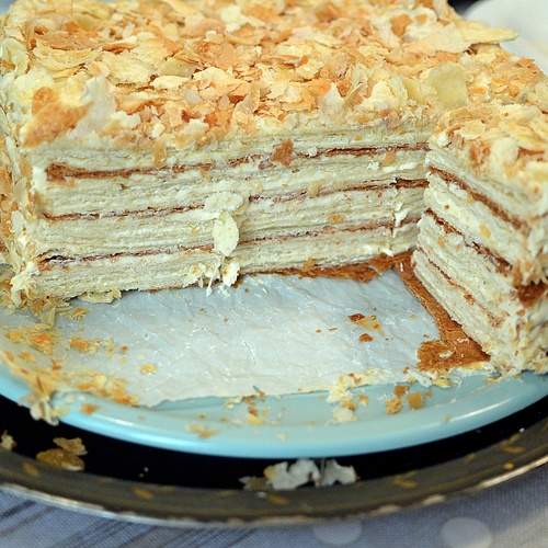 Photo #13516056