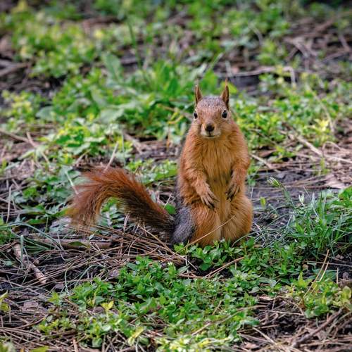 Photo #13516312