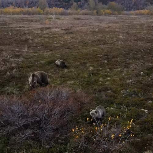 Photo #13516329