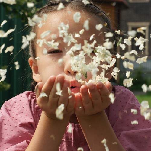 Photo #13516495