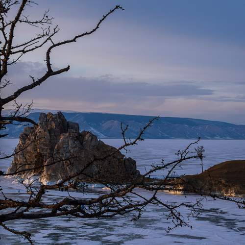 Photo #13516514