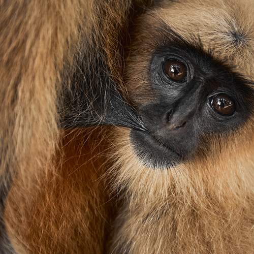 Photo #13516701