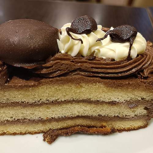 Photo #13516796