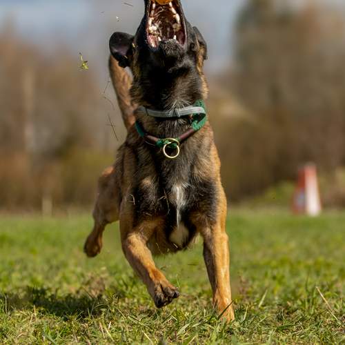 Photo #13516864