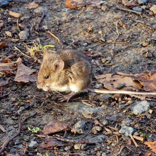 Photo #13516995
