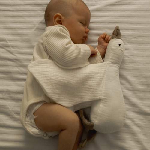 Photo #13517527