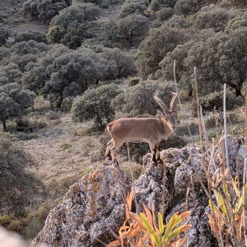 Photo #13517646