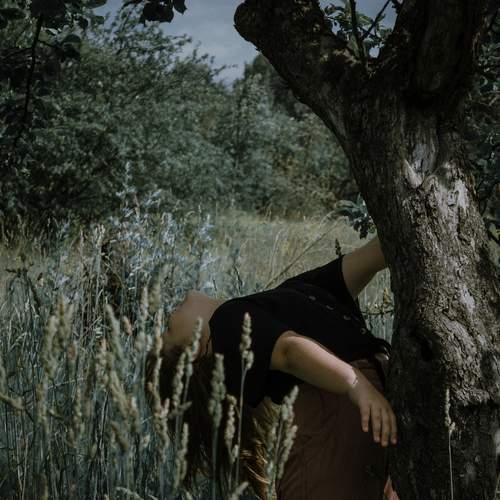 Photo #13517742