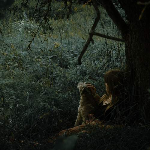 Photo #13517745