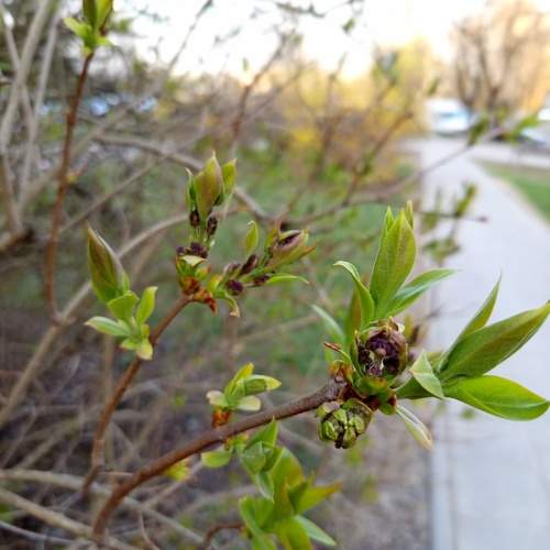 Photo #13517805