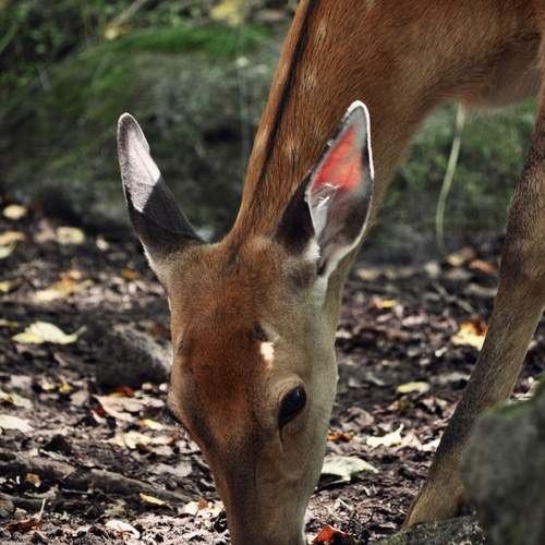 Photo #13517845