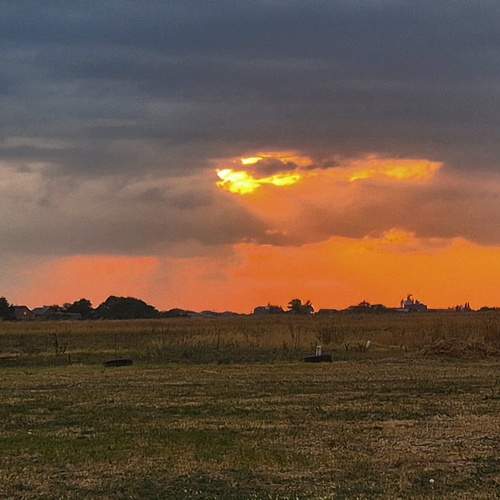 Photo #13518039