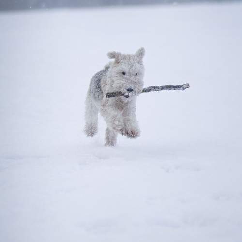 Photo #13518146