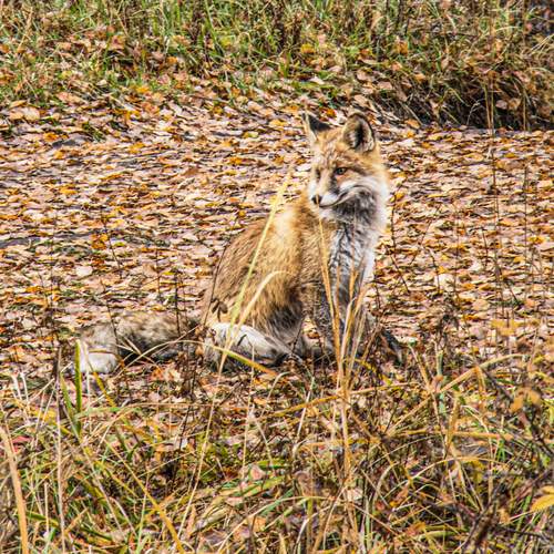 Photo #13518246