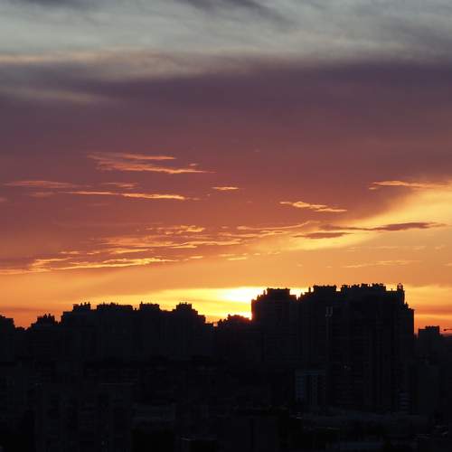Photo #13518250