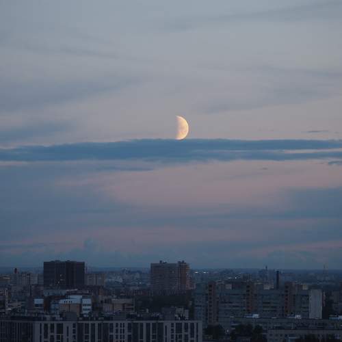 Photo #13518251