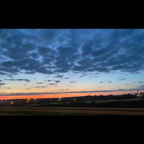 Photo #13518555